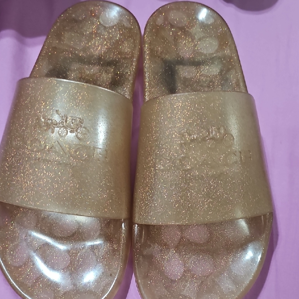 Coach Gold Glam Slide Sandals